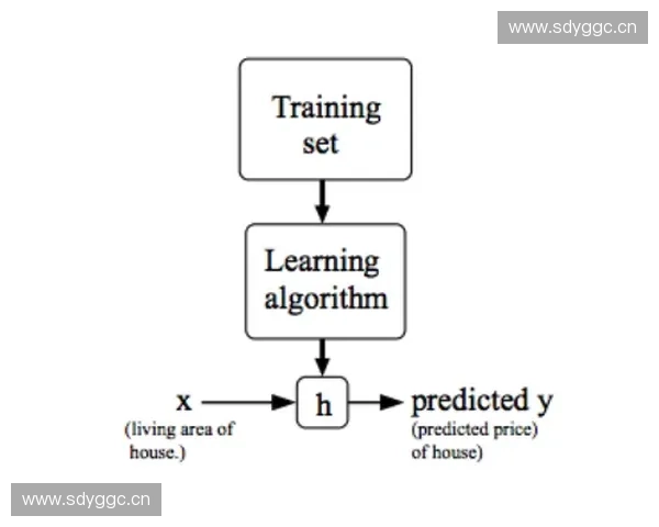 基于训练变量优化的机器学习模型性能提升研究与应用分析