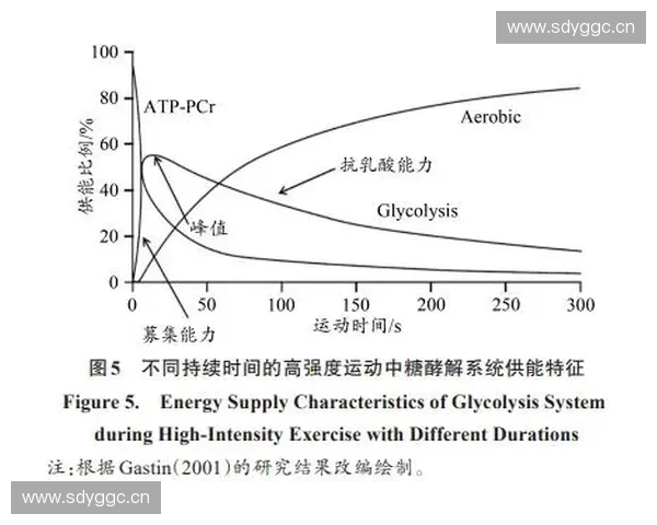 深化探究提升体育训练中运动动作稳定性与控制能力的系统化策略研究