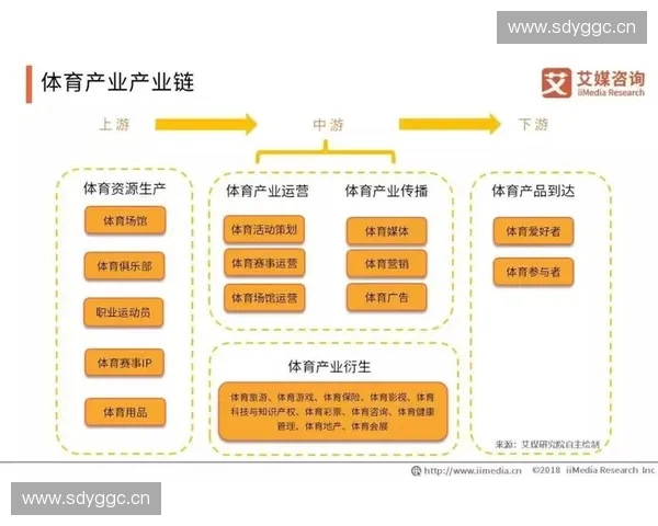 体育科技孵化推动创新发展，探索未来体育产业的新机遇与挑战