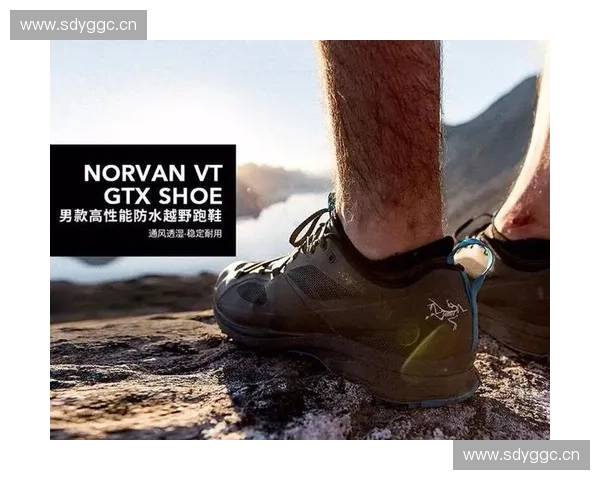 基于落地缓冲技术优化运动装备设计提升安全性与舒适性研究 基于落地缓冲技术优化运动装备设计提升安全性与舒适性研究